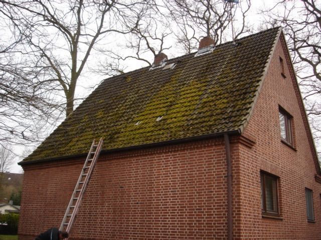 Ein Bild von einem sanierungsbedürftigem Dach